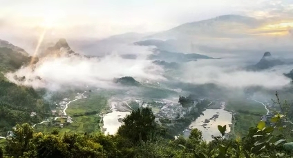 勐海临沧易武同是普洱茶，为何相差甚远？