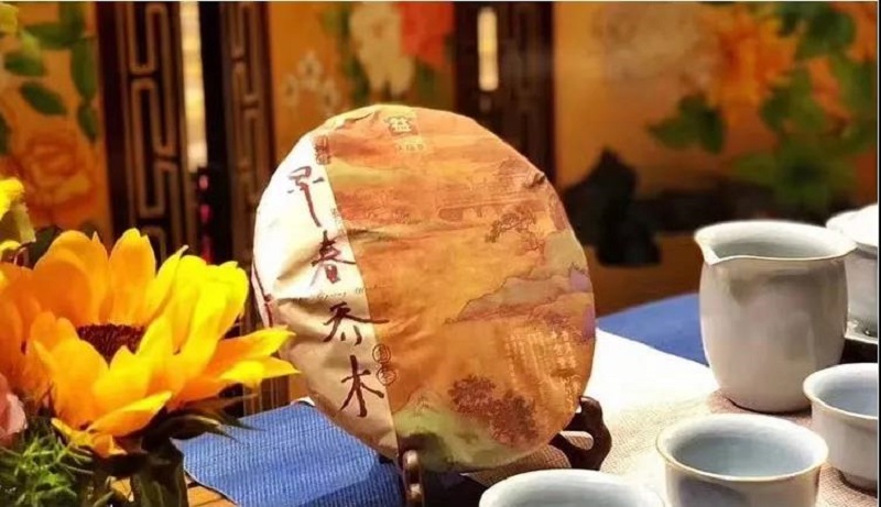 品鉴「勐海早春乔木圆茶」| 一杯熟普，不负重阳！