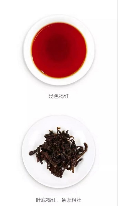 据说,很多人最近反反复复地在喝这十款大益茶?