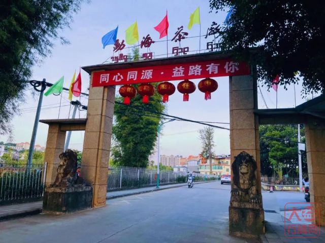 【媒体看大益】大益张亚峰:下一个百年计划已开启