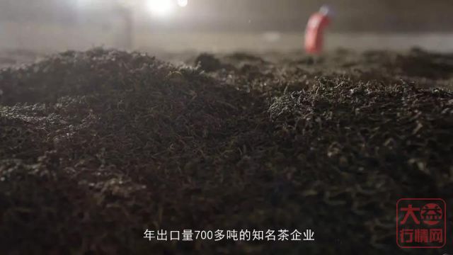 金字招牌“大益茶”，一代宗师“邹炳良”，60年制茶历史