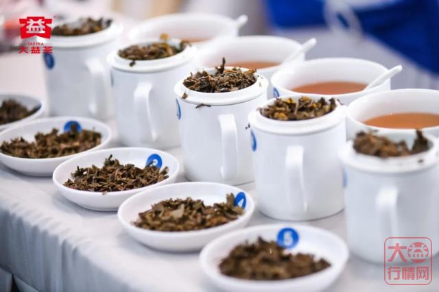 新一轮大战启幕，快上益友会看看谁是一往无前的论茶英雄