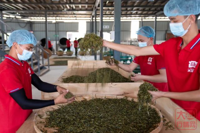 双十一选择隐忍!大益憋了怎样的大招?