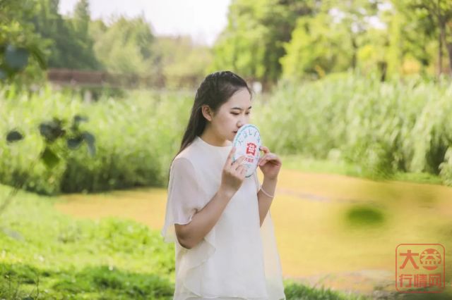 7582主题茶席 | 初夏时节,如何展示一款广受茶友追捧的经典生茶?