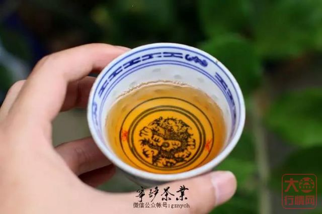 大益行情网：大益中期茶系列-2013年 大益 早春乔木 生