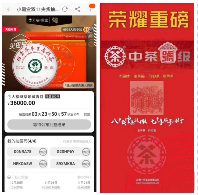 2020双11发布沧海,大益集团意欲何为?