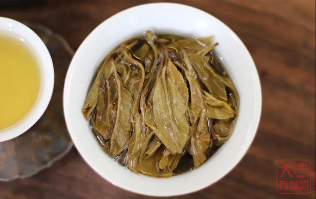 投资大益茶是理财,更是修行!