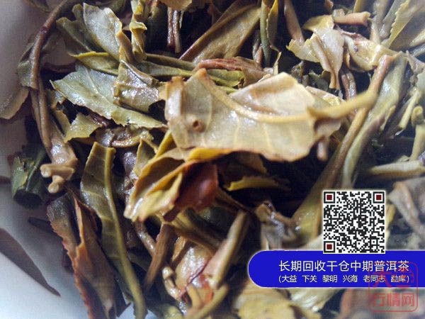 中茶一马当先VS大益英雄骏马