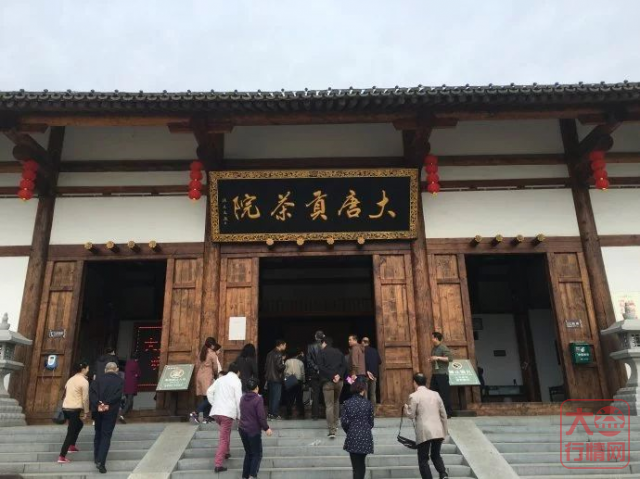 大益茶文化解读系列|NO23·盛世长安