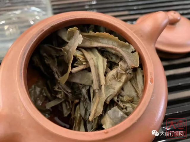 601班章有机青饼 为何如此特别（上）