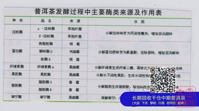 大益茶第三代发酵技术“黑马”曝光