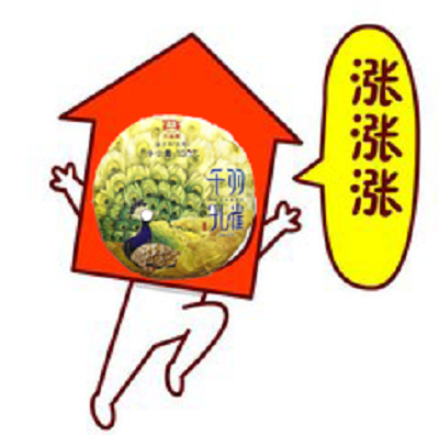 大益普洱茶投资分析_七星千羽孔雀