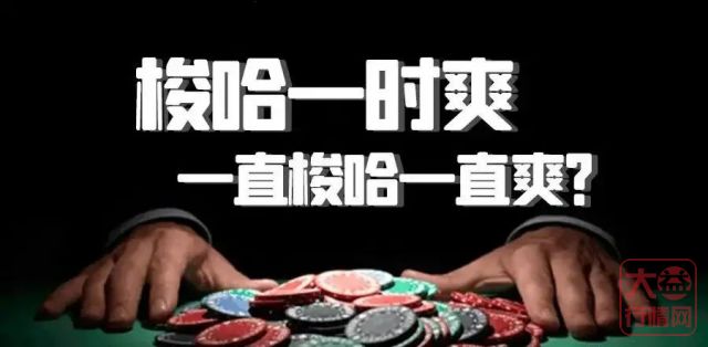 大益投资分析:不要被忽悠了,现金真的为王吗?