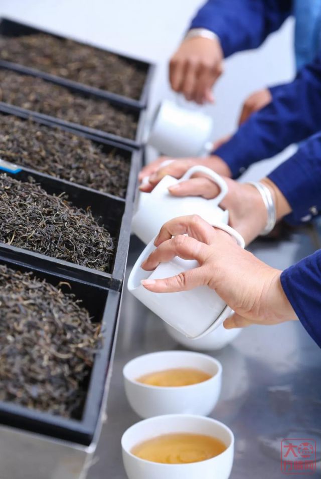 大益行情网：纯料，普洱茶行业最大的智商税！