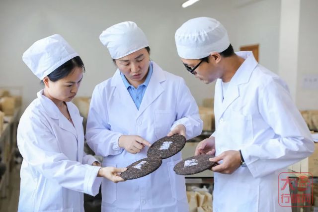 敢为人先!大益十年科技创新发展之路