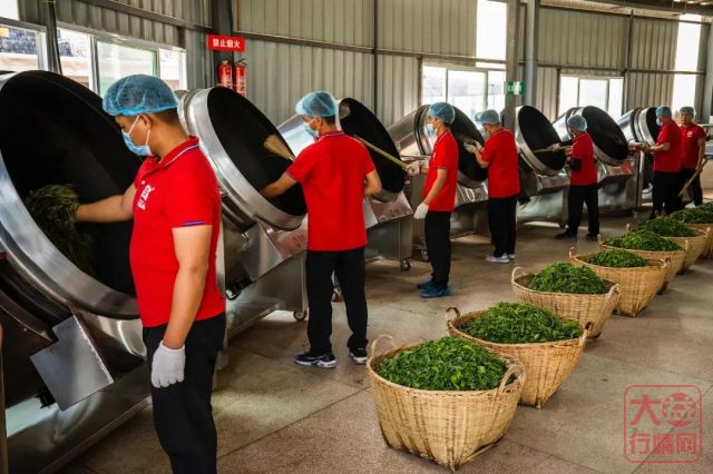 勐海茶厂春茶开收 | 初制所软硬件升级换代,严把原料入库第一关