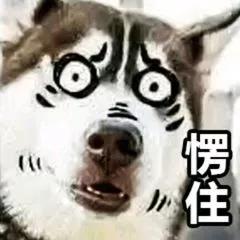 史无前例,鼠饼洞天福地新玩法登场,二级交易市场哀鸿遍野,芳村迎来九级大地震!