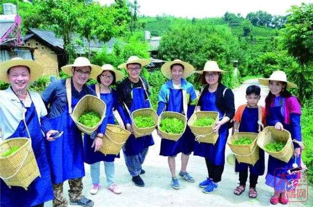 转载 | 云报专访大益集团吴远之:推动云茶高质量发展 服务健康生活
