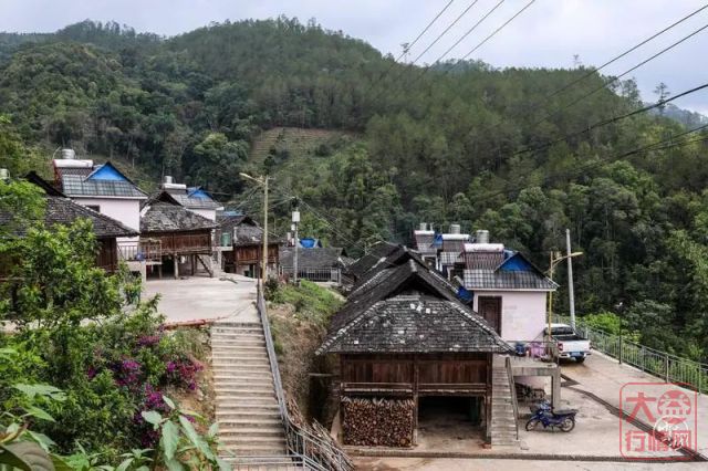 【媒体报道】茶香润心田，茶农脱贫稳 | 大益助力茶山乡村振兴“加速跑”