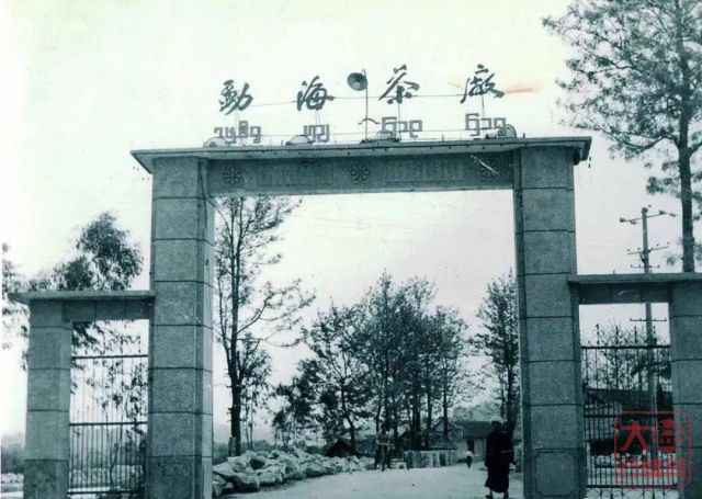 提供芳村大益普洱茶最新价格走势!