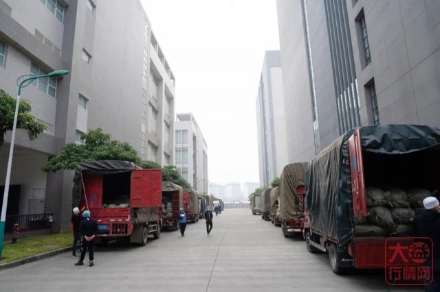 勐海茶厂春茶开收 | 初制所软硬件升级换代,严把原料入库第一关