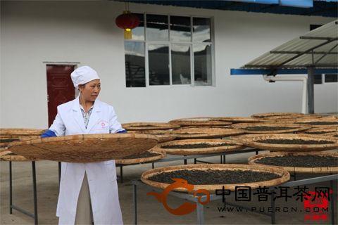 广大供应商为大益品牌提供原料
