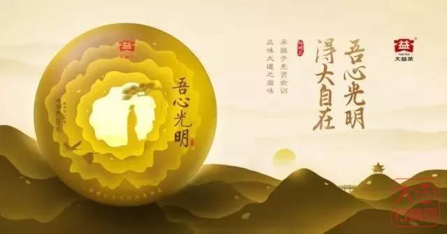 据说，很多人最近反反复复地在喝这十款大益茶？