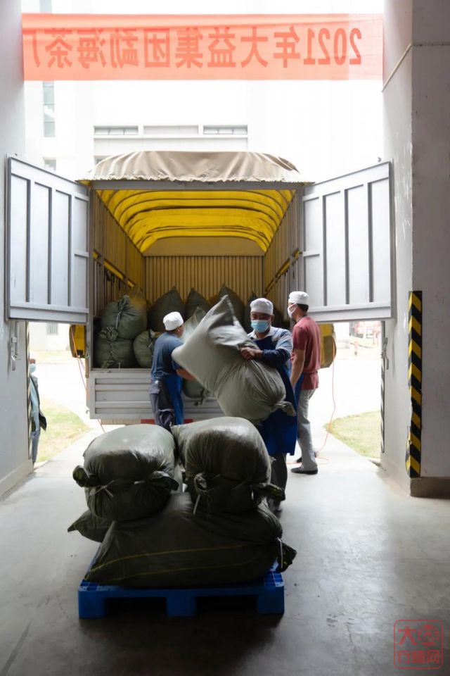 勐海茶厂春茶开收 | 初制所软硬件升级换代,严把原料入库第一关