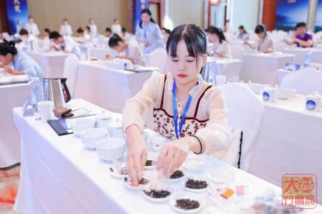 大益论茶烽烟再起,国内外300位高手角