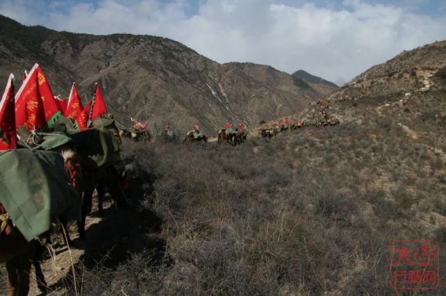 大益茶文化解读系列|NO16·圣茶之旅