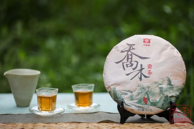 乔木圆茶主题茶席 | 我们是如何将“深山万木春”的意境具象化的