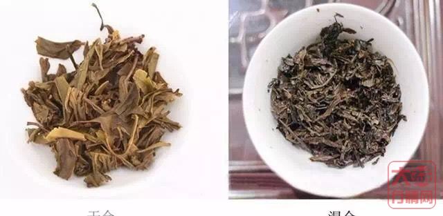 怎样分辨普洱茶的干仓和湿仓！？
