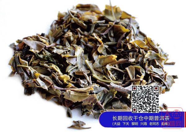 2012大益印级茶新标杆——龙印上市