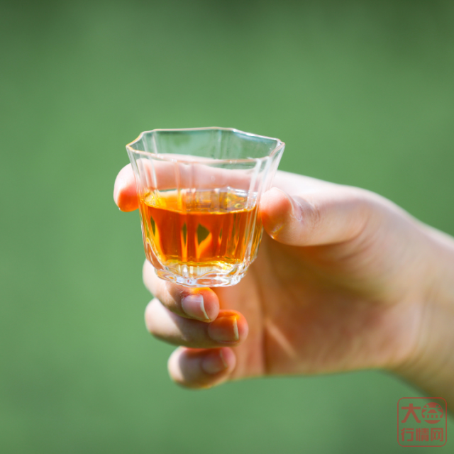 7582主题茶席 | 初夏时节,如何展示一款广受茶友追捧的经典生茶?