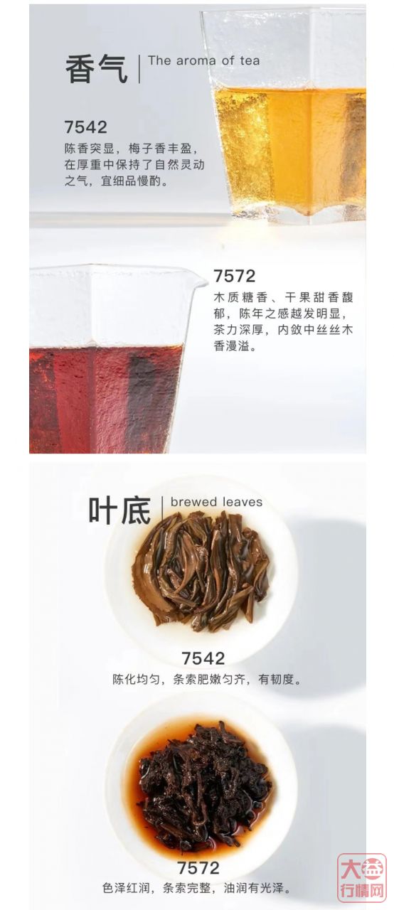 年份好茶免费申购，勐海茶厂82周年厂庆福利大放送