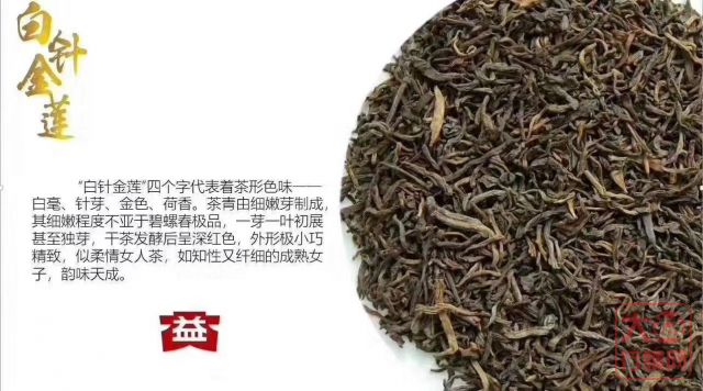 【1801】50g金针白莲熟散茶即将上市