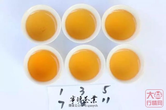 2019年大益系列-大益拱金耙银 生肖猪饼