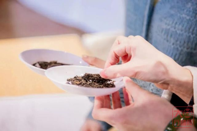 直击昆明茶博会 ▏​大益传递健康生活，引领年轻茶饮新潮流