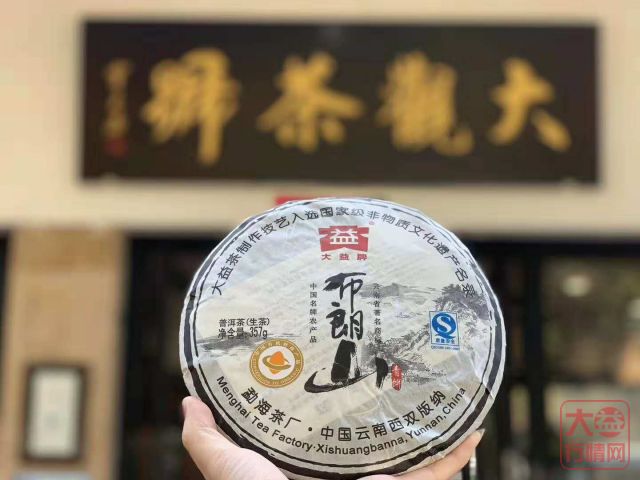 901 布朗山青饼 —— “茶海明珠”上的浓强刚烈