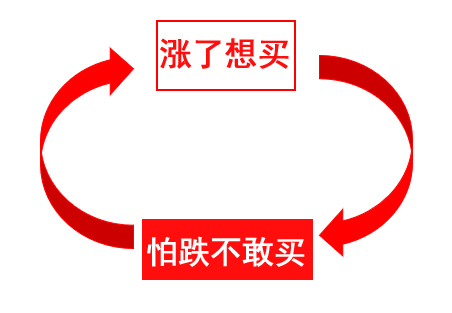 一骑绝尘的精品孔雀能否带动2023大益茶市?我觉得有点难!
