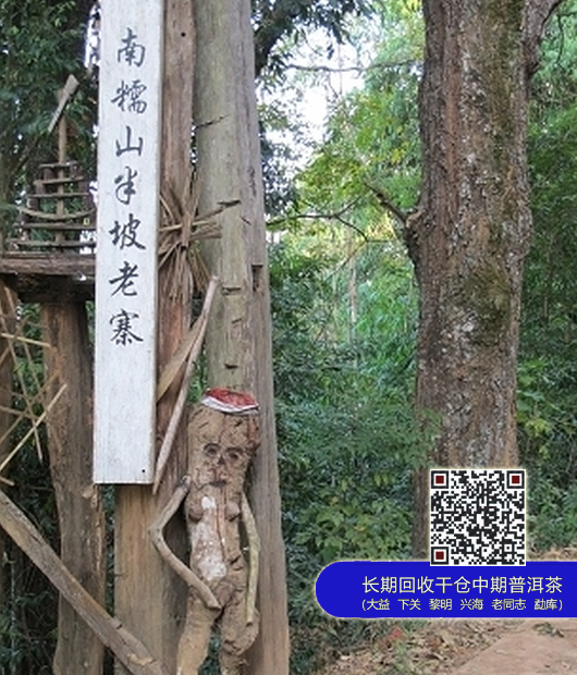 大益熟，昌泰生”看茶企的品类建设