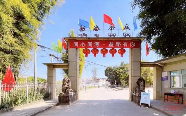 从“成都峰会”到大益百年计划,未来大益茶的盈利点在哪里?