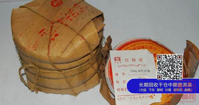大益金针白莲特征释义