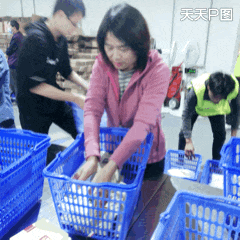 1天里，销量9000万！大益茶连续4年荣居天猫双11茶行业销售冠军
