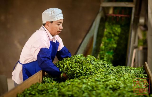 大益行情网：纯料，普洱茶行业最大的智商税！