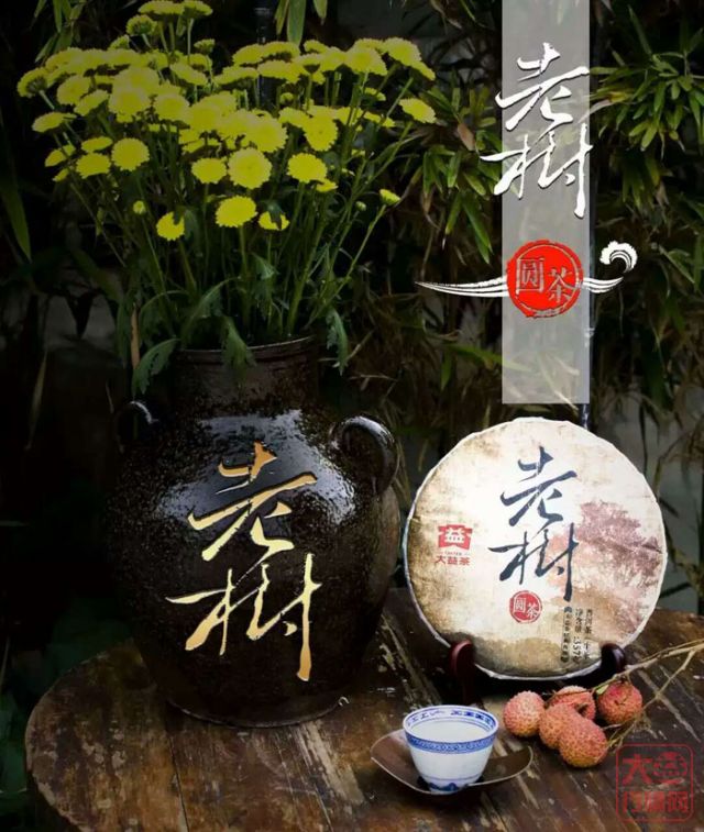 老树园茶是个坏孩子