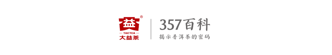 同样喝普洱茶,为什么有的人瘦了,有的人没变化?