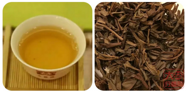 901 布朗山青饼 —— “茶海明珠”上的浓强刚烈