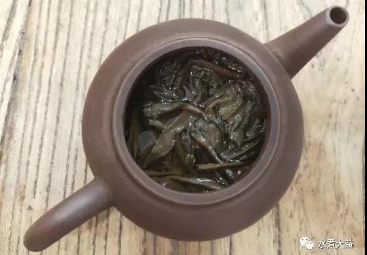 【品鉴|解读】勐海茶厂401 357克红大益青饼