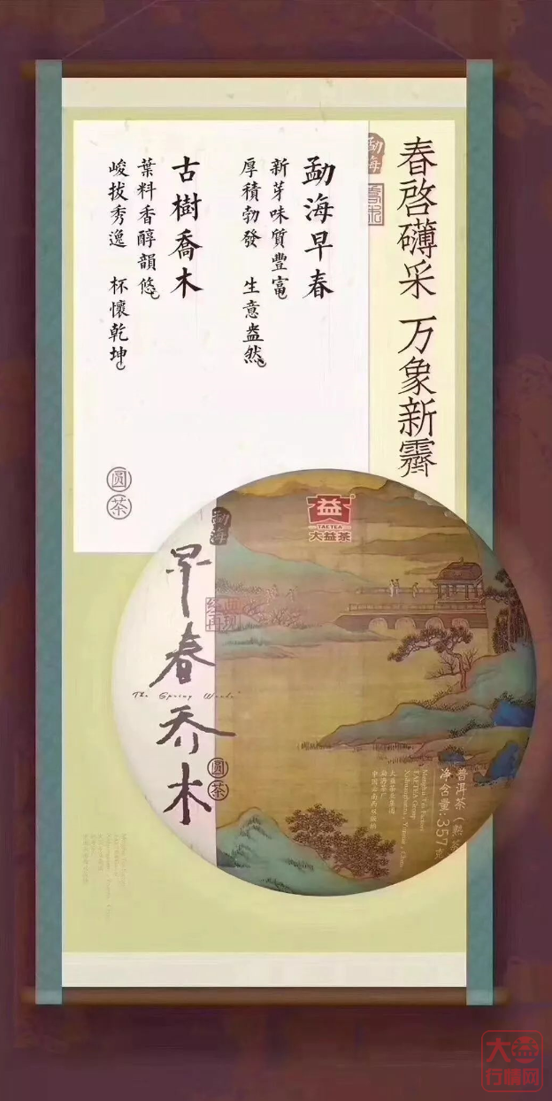 大益茶文化解读系列|NO30·早春乔木